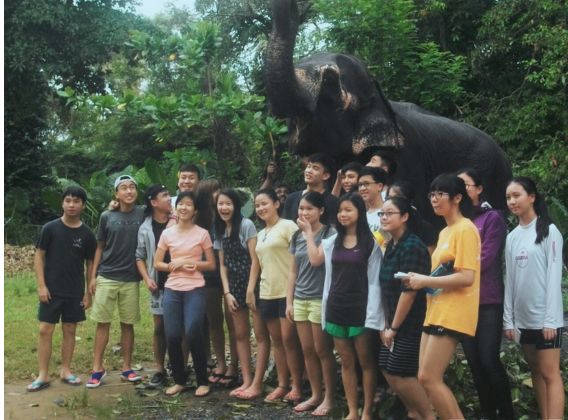 Elephant Conservation Volunteer Program in Sri Lanka